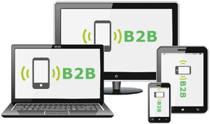 Responsive B2B Website Design